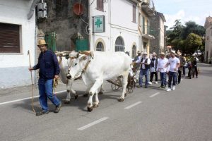 Latera - Festa Sant'Isidoro 2025 - Comitato festeggiamenti
