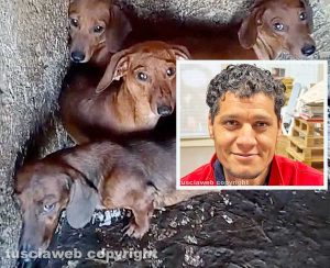 Viterbo - 31 cani sequestrati e salvati dalla Asl e dalla polizia locale - I bassotti - Nel riquadro Mohamed Zerrouki