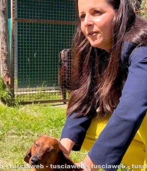 Chiara Frontini al canile di Bagnaia con I bassotti salvati dall'allevamento lager