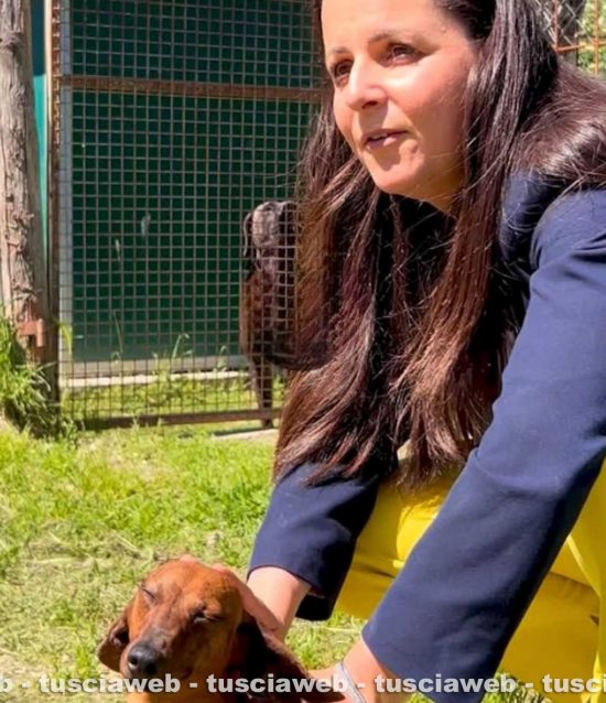 Chiara Frontini al canile di Bagnaia con I bassotti salvati dall'allevamento lager