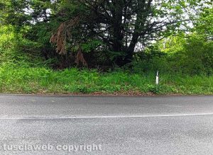 Viterbo - Segnaletica orizzontale assente su strada Cimina