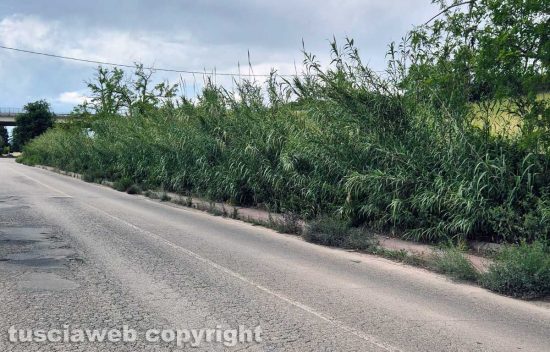 Viterbo - La pista ciclabile su strada Bagni