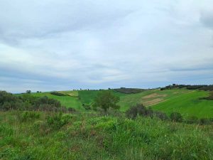 Uno scorcio di Montebello