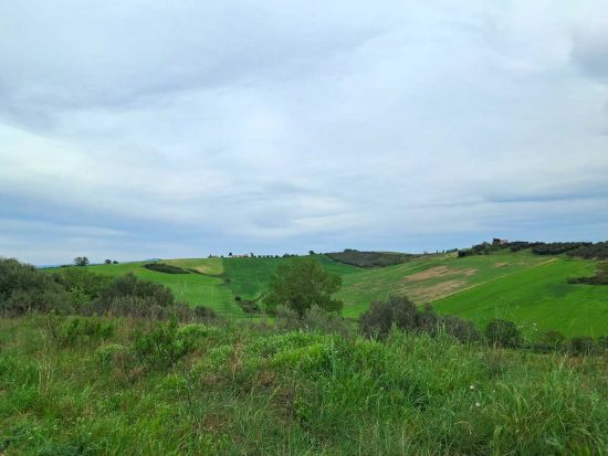 Uno scorcio di Montebello