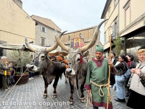 La festa del Santissimo Salvatore per le vie del centro storico