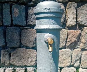 Viterbo - La fontanella nel giardino Melvin Jones