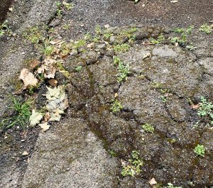Viterbo - Angolo non asfaltato di via Carlo Cattaneo