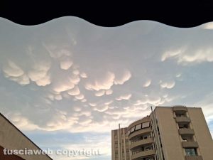 Nuvole mammatus al tramonto sopra Viterbo