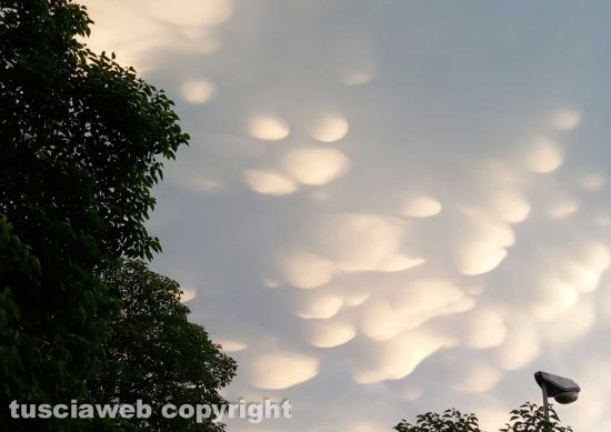Nuvole mammatus al tramonto sopra Montefiascone