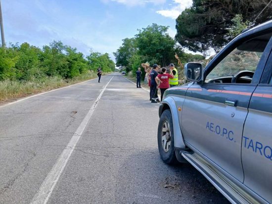 Tarquinia - Rimosso l’albero caduto in via della Salara, strada riaperta al traffico