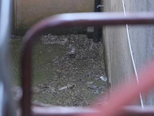 Viterbo - Bagni di piazza Fontana Grande nel degrado