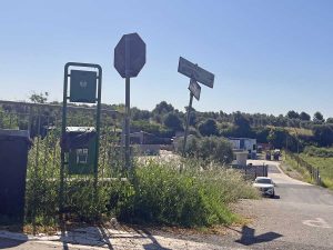 Montalto di Castro - Erbacce lungo la strada