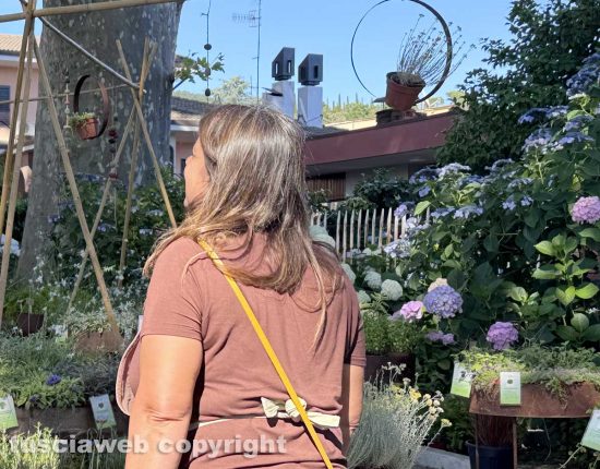 Bolsena - Festa delle Ortensie, partenza con il pienone