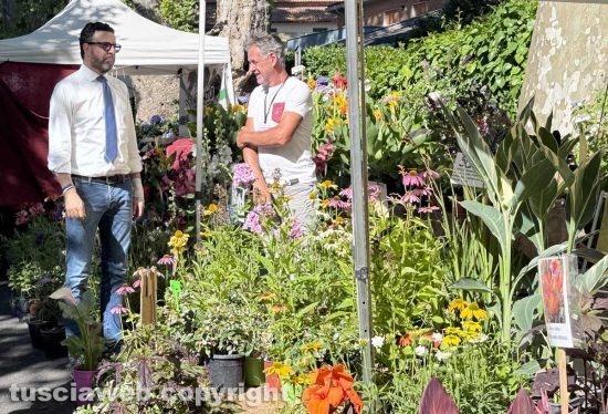Bolsena - Festa delle Ortensie, partenza con il pienone