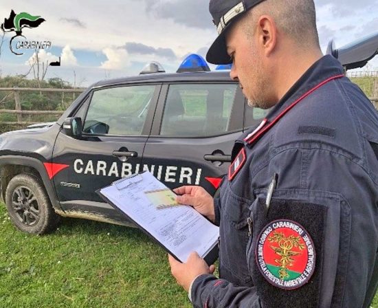 Carabinieri forestali