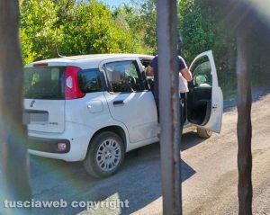 Viterbo - La Panda bianca segnalata