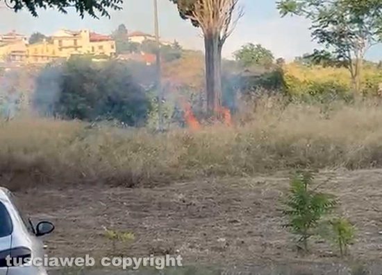 Tarquinia - Incendio di sterpaglie in via Vecchia Aurelia