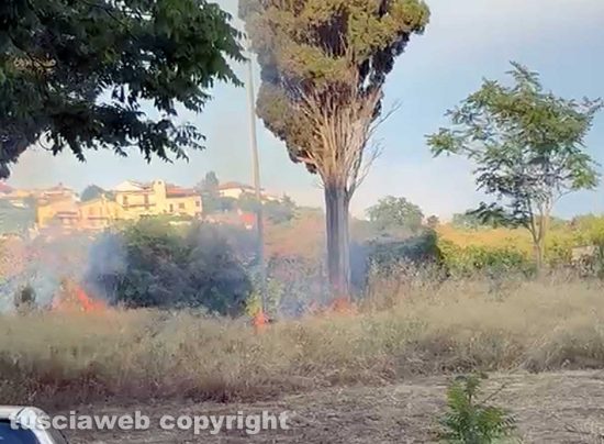 Tarquinia - Incendio di sterpaglie in via Vecchia Aurelia