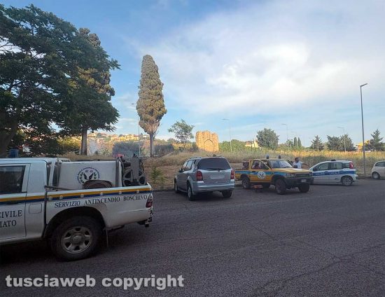Tarquinia - Incendio di sterpaglie in via Vecchia Aurelia