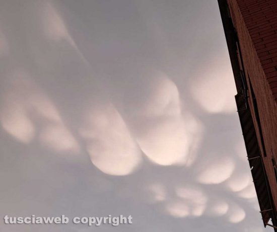 Nuvole mammatus al tramonto sopra Viterbo