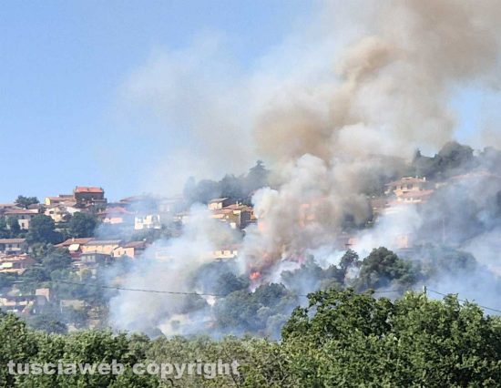 Montefiascone - Vasto incendio, fiamme tra bosco, vigne e uliveti: case lambite dal rogo