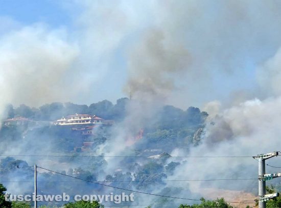 Montefiascone - Vasto incendio, fiamme tra bosco, vigne e uliveti: case lambite dal rogo