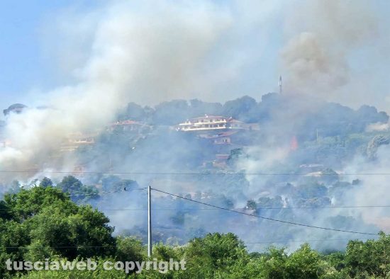 Montefiascone - Vasto incendio, fiamme tra bosco, vigne e uliveti: case lambite dal rogo