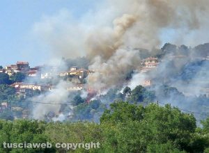 Montefiascone - Vasto incendio, fiamme tra bosco, vigne e uliveti: case lambite dal rogo