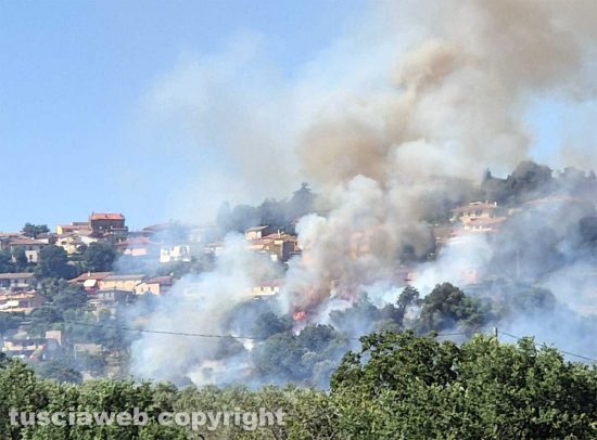 Montefiascone - Vasto incendio, fiamme tra bosco, vigne e uliveti: case lambite dal rogo