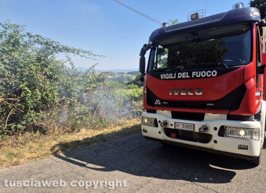 Montefiascone - Vasto incendio, fiamme tra bosco, vigne e uliveti: case lambite dal rogo