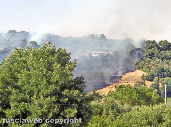 Montefiascone - Vasto incendio, fiamme tra bosco, vigne e uliveti: case lambite dal rogo