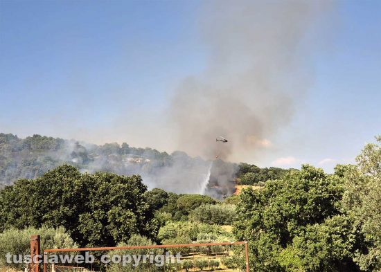 Montefiascone - Vasto incendio, fiamme tra bosco, vigne e uliveti: case lambite dal rogo