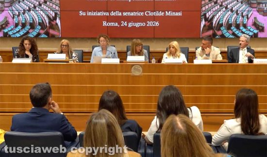 Psicosette - La conferenza in senato sulla proposta di legge contro la manipolaizione