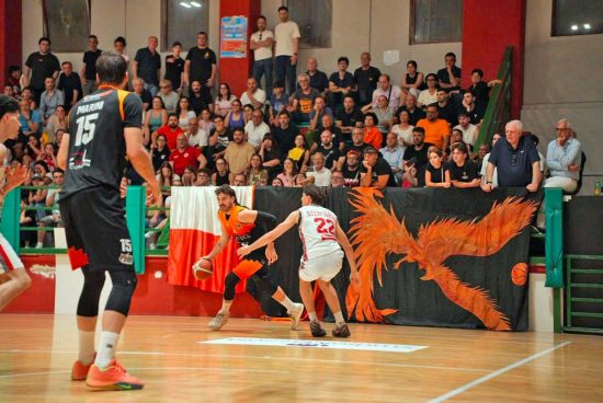Sport - Basket - Una gara della Redel Viola - Reggio Calabria