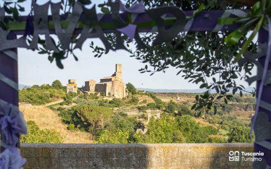 Fiera della lavanda a Tuscania