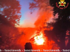 Cerveteri - Fiamme vicino alle case e in uno stabilimento balneare