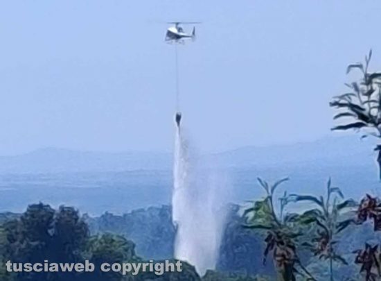 Vetralla - Sterpaglie, uliveto e sottobosco in fiamme