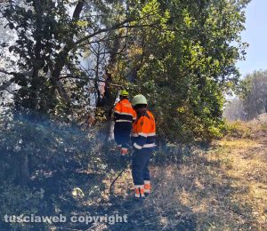 Vetralla - Sterpaglie, uliveto e sottobosco in fiamme