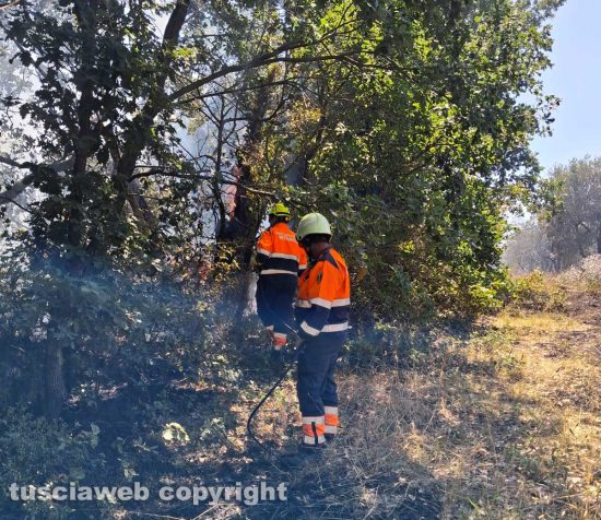 Vetralla - Sterpaglie, uliveto e sottobosco in fiamme