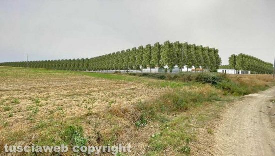 Il progetto della società Castelleone Biometano in località Mogliane a Viterbo