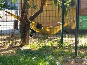 Viterbo - Degrado a viale Trento