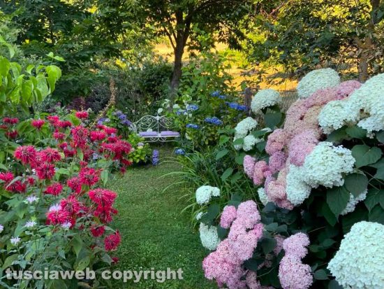 Le ortensie del giardino "La Perella" di Bagnaia