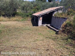 Viterbo - La fontana su via Francigena dopo lo sfalcio