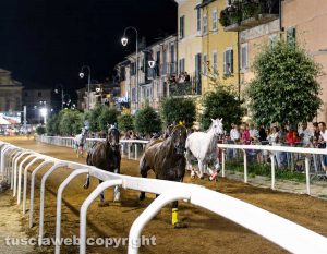 Ronciglione - Corse a vuoto - Il rione Fontana Grande vince il Palio di San Bartolomeo 2026