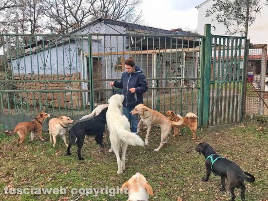 Dana Fantini e i suoi amici animali