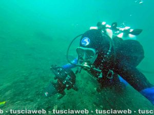 Gran Carro di Bolsena, ritrovato il primo frammento di tessuto dopo oltre 60 anni