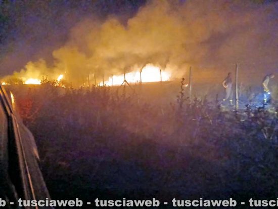 Tarquinia – Le fiamme sono tornate a divampare nella notte all’interno della riserva naturale delle Saline