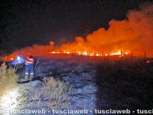 Tarquinia – Le fiamme sono tornate a divampare nella notte all’interno della riserva naturale delle Saline
