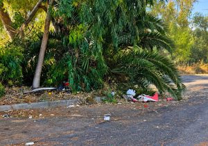 Civitavecchia - Liberato accampamento abusivo al Pantano