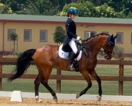 Sport - Equitazione - Sofia Pagliaro conquista la Coppa Lazio Dressage 2026